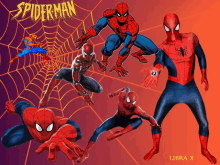 Superhero Spiderman GIF - Superhero Spiderman Comics GIFs