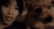 Vilegend Momo GIF - Vilegend Momo Boo GIFs