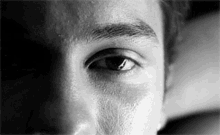 Shawn Mendes Mikey Mim GIF - Shawn Mendes Mikey Mim Stare GIFs