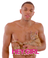 Hey Girl Cat Sticker - Hey Girl Hey Cat Stickers