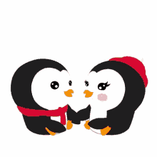 kiss penguin