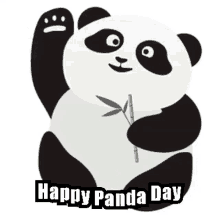 Panda Pandaday GIF - Panda Pandaday GIFs