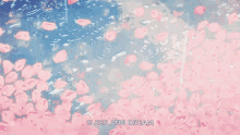 petals aesthetic anime rain sakura