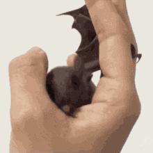 Bat Batman GIF - Bat Batman Funny GIFs