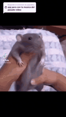Rat Ratatouille GIF - Rat Ratatouille Dance GIFs