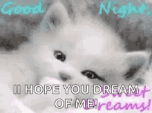 Sweet Dreams Good Night GIF - Sweet Dreams Good Night Kitty GIFs