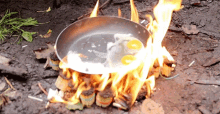 сковородканаогне готовитьяйцанаогне GIF - сковородканаогне готовитьяйцанаогне Skillet On Fire GIFs