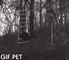 Gif Pet Zipline GIF - Gif Pet Zipline Ouch GIFs