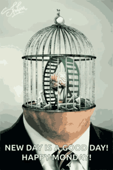 bird cage back to work thinking hamster wheel working hard bird cage back to work thinking hamster wheel working hard