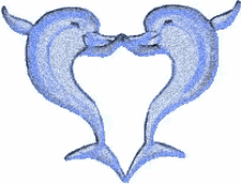 dolphin dolphin