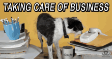 Taking Care Of Business GIF - Taking Care Of Business Business GIFs