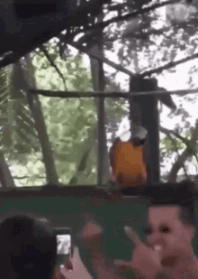 dance techno bird dancing bird dance techno bird dancing bird