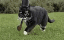 Cat Gentlecat GIF - Cat Gentlecat Smoking GIFs