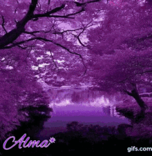 Morado Paisajes GIF - Morado Paisajes Purple GIFs