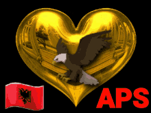 shqiponja aps cuore zemra shqiponja aps cuore zemra
