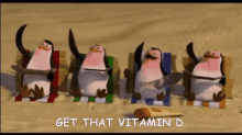 Get That Vitamin D GIF - Vitamin D Get That Vitamin D Sun Bathing GIFs
