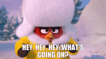 The Angry Birds Movie Red GIF - The Angry Birds Movie Red Hey Hey Hey Whats Going On GIFs
