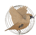 Bitbird Sociable Weaver Sticker - Bitbird Bird Sociable Weaver Stickers