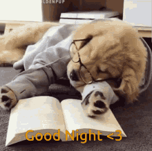 Dog Good Night GIF - Dog Good Night GIFs