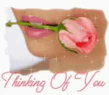 Thinking Of You Flower GIF - Thinking Of You Flower Love GIFs