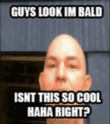 Bald 