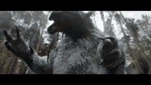 Dungeons And Dragons Dn D GIF - Dungeons And Dragons Dn D Dn D Bear Owl GIFs