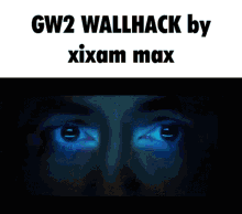 xixam max maximethebigboss maxime gw2wallhack gw2wallhack by xixam max
