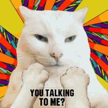 Smudge Cat Smudge Cat You Talking To Me GIF - Smudge Cat Smudge Cat You Talking To Me You Talking To Me GIFs