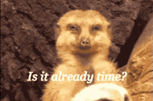 Is It Already Time? GIF - Is It Time Is It Already Time Mondays GIFs