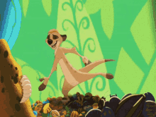 the lion king timon dance lion king thats all i need