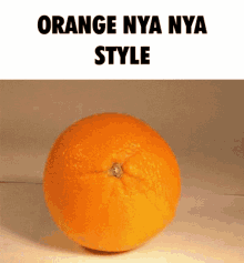 orange nya nya style annoying orange orange nya nya style annoying orange