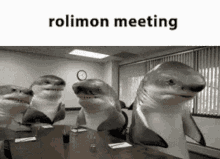 Rolimon Rolimons GIF - Rolimon Rolimons Mrga GIFs