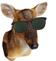 Cool Deer Sunglasses Sticker - Cool Deer Deer Sunglasses Stickers