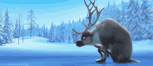 snow reindeer