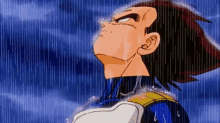 vegeta under the rain vegeta under the rain