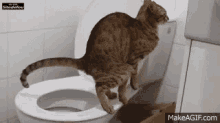 Caca GIF - Cat Poop Toilet GIFs