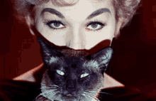 Signs Cat GIF - Signs Cat Eyes GIFs