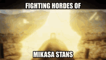 Attack On Titan Shingeki No Kyojin GIF - Attack On Titan Shingeki No Kyojin Mikasa GIFs
