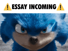 Essay Incoming Sonic GIF - Essay Incoming Sonic Sonic Movie GIFs