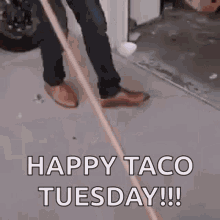 Happy Taco Tuesday Cat GIF - Happy Taco Tuesday Cat Funny GIFs