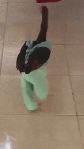 Funny Animals Chicken In Pants GIF - Funny Animals Chicken In Pants Cool GIFs