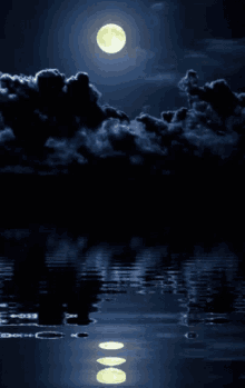 Dark Perfect GIF - Dark Perfect Night GIFs