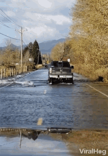 Bass Fish Fishes On The Road GIF - Bass Fish Fishes On The Road Flooded GIFs