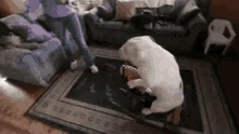 bulldog animal dog rocking horse bulldog animal dog rocking horse