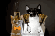 Will Be There With Bells On Cats GIF - Will Be There With Bells On Cats Bell GIFs