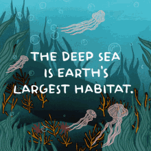 exploitation deep sea earth mother earth defendthedeep