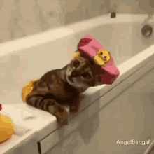 Funny Animals Spa Day GIF - Funny Animals Spa Day Cats GIFs