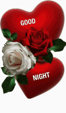 good night rose flowers heart love