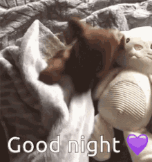 Good Night Sleep GIF - Good Night Sleep Sleeping GIFs