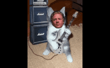 Funny Cats Funny Guitar GIF - Funny Cats Funny Guitar Cats GIFs